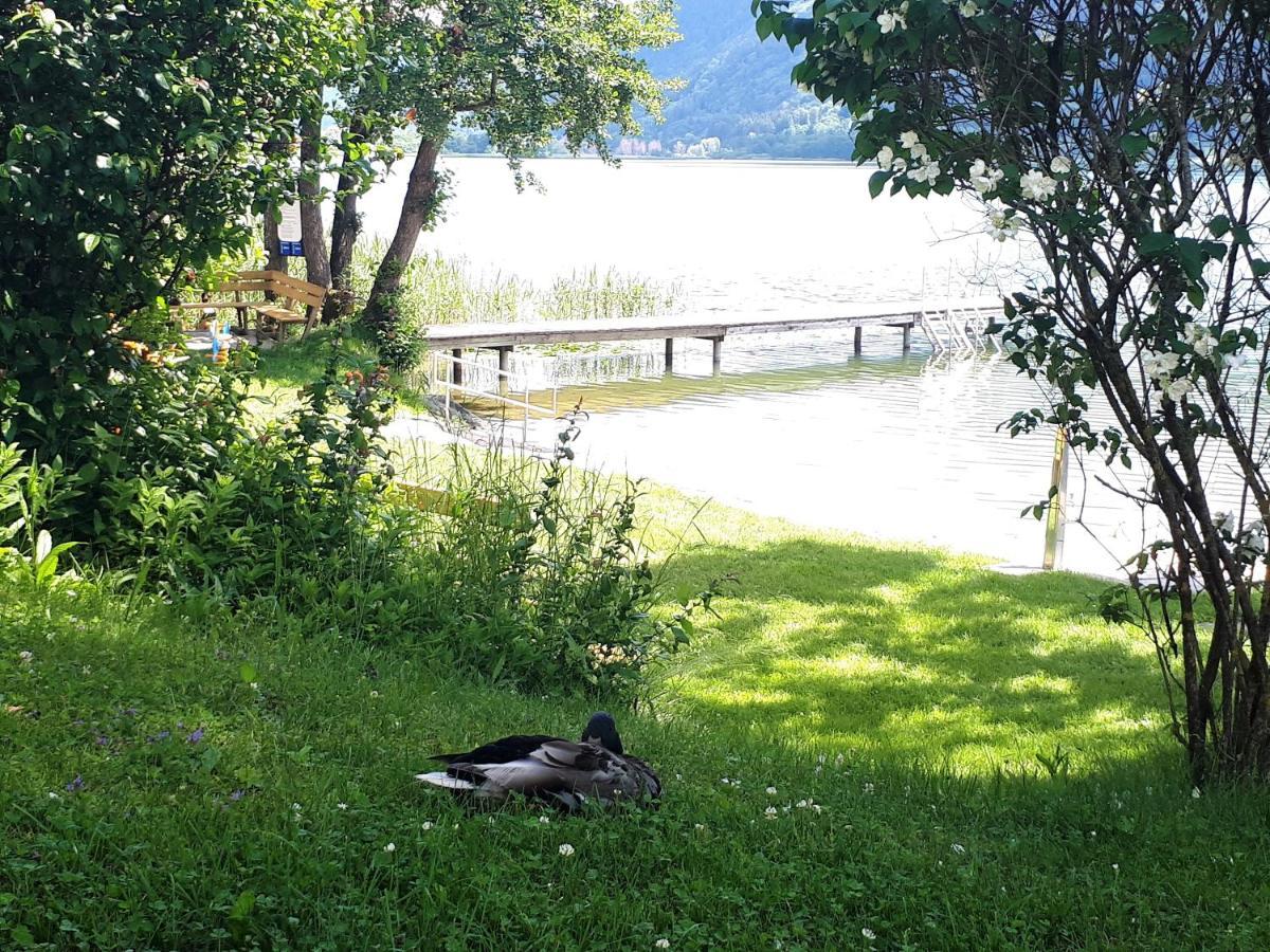 Maren Seeblick Appartement Haus Haensel&Gretel Direkt Am Ossiacher See Mit Hallenbad Stiegl Exteriér fotografie